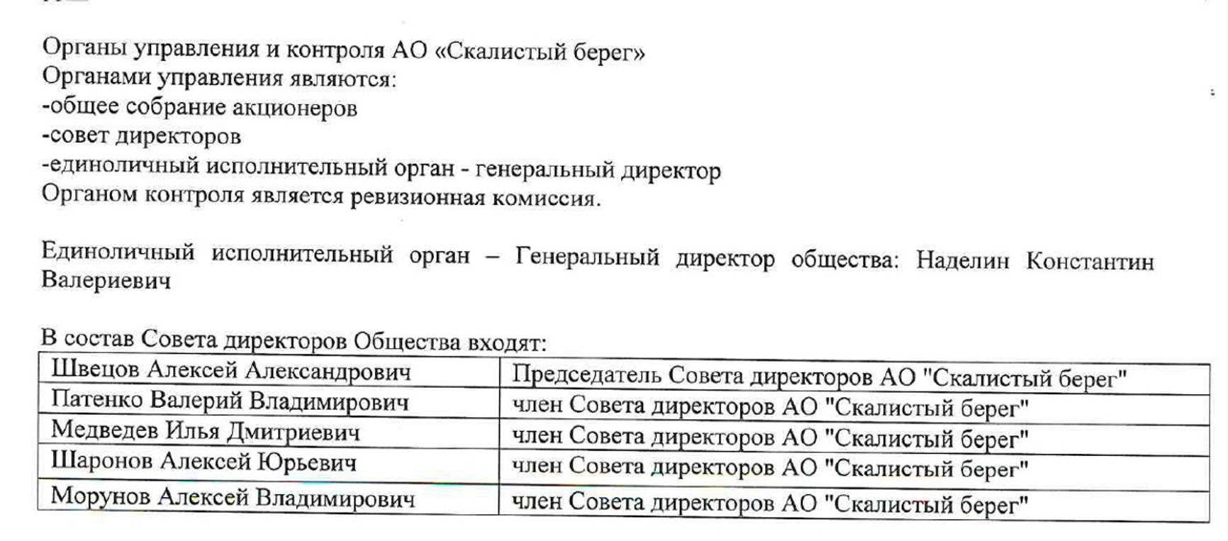 Скриншот из финансовой отчетности АО «Скалистый Берег» за 2024 год